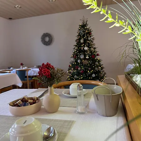 Hotel am Neckar-3